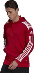 Meeste dressipluus Adidas Squadra 21 punane GP6435 L цена и информация | Футбольная форма и другие товары | kaup24.ee