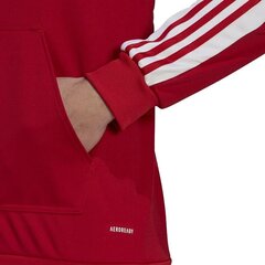 Meeste hüppaja Adidas Squadra 21 punane GP6435 S hind ja info | Jalgpalli varustus ja riided | kaup24.ee