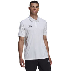 Meeste T-särk Adidas Entrada 22 Polo HC5067, valge hind ja info | Meeste T-särgid | kaup24.ee