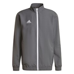 Мужской свитер Adidas Entrada 22 H57535, серый цена и информация | Футбольная форма и другие товары | kaup24.ee