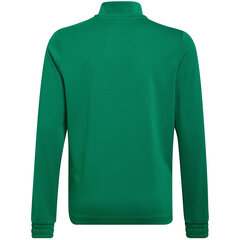 Детский свитер Adidas Entrada 22 HI2132, зеленый цена и информация | Свитеры, жилетки, пиджаки для мальчиков | kaup24.ee