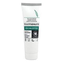 Toothpaste with Eucalyptus, 75ml цена и информация | Для ухода за зубами | kaup24.ee