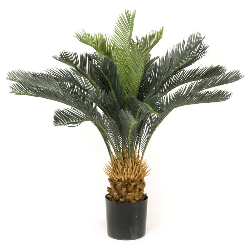 Emerald kunsttaim Sago palm potis 80 cm hind ja info | Kunstlilled | kaup24.ee