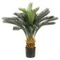 Emerald kunsttaim Sago palm potis 80 cm hind ja info | Kunstlilled | kaup24.ee