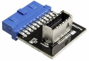 Raijintek USB 3.0 20 Pin to USB Mini 20 Pin Frontpanel USB Type C Adapter Motherboard цена и информация | Электроника с открытым кодом | kaup24.ee