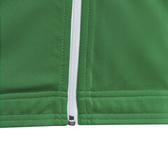 Laste kampsun Adidas Entrada 22 HI2138, roheline hind ja info | Poiste kampsunid, vestid ja jakid | kaup24.ee