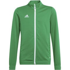 Laste kampsun Adidas Entrada 22 HI2138, roheline цена и информация | Свитеры, жилетки, пиджаки для мальчиков | kaup24.ee