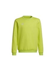 Детский джемпер Adidas Entrada 22 HC5043, лимонного цвета цена и информация | Свитеры, жилетки, пиджаки для мальчиков | kaup24.ee