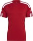 Meeste lühikeste varrukatega T-särk Adidas Squadra 21 Jersey GN5722, punane цена и информация | Jalgpalli varustus ja riided | kaup24.ee