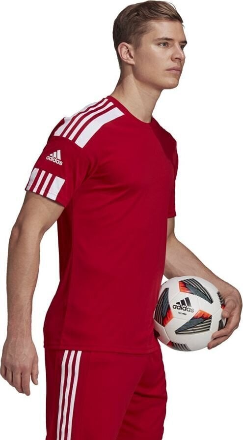 Meeste lühikeste varrukatega T-särk Adidas Squadra 21 Jersey GN5722, punane hind ja info | Jalgpalli varustus ja riided | kaup24.ee