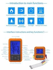 Veekindel traadita puuteekraaniga köögi / lihatermomeeter grillimiseks koos 4 sondiga цена и информация | Аксессуары для гриля и барбекю | kaup24.ee