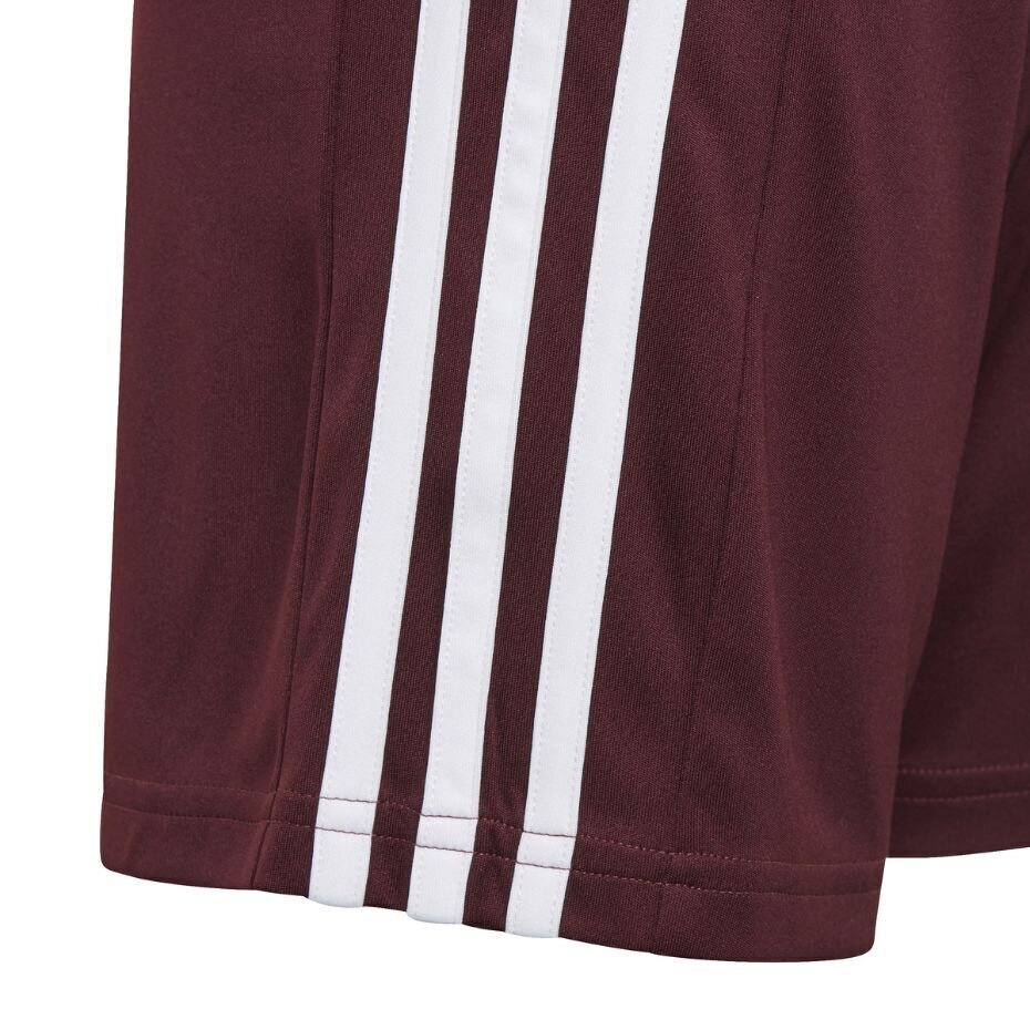 Lastepüksid Adidas Squadra 21 GN8081, Burgundia värvid hind ja info | Jalgpalli varustus ja riided | kaup24.ee
