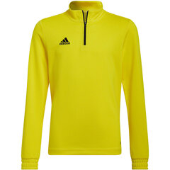 Детский свитер Adidas Entrada 22 HI2133, желтый цена и информация | Футбольная форма и другие товары | kaup24.ee