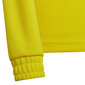 Laste kampsun Adidas Entrada 22 HI2133, kollane hind ja info | Jalgpalli varustus ja riided | kaup24.ee