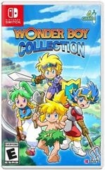 SWITCH Wonder Boy Collection цена и информация | Компьютерные игры | kaup24.ee