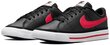 Nike Jalatsid Court Legacy Black DA5380 004 DA5380 004/4 цена и информация | Laste spordijalatsid | kaup24.ee