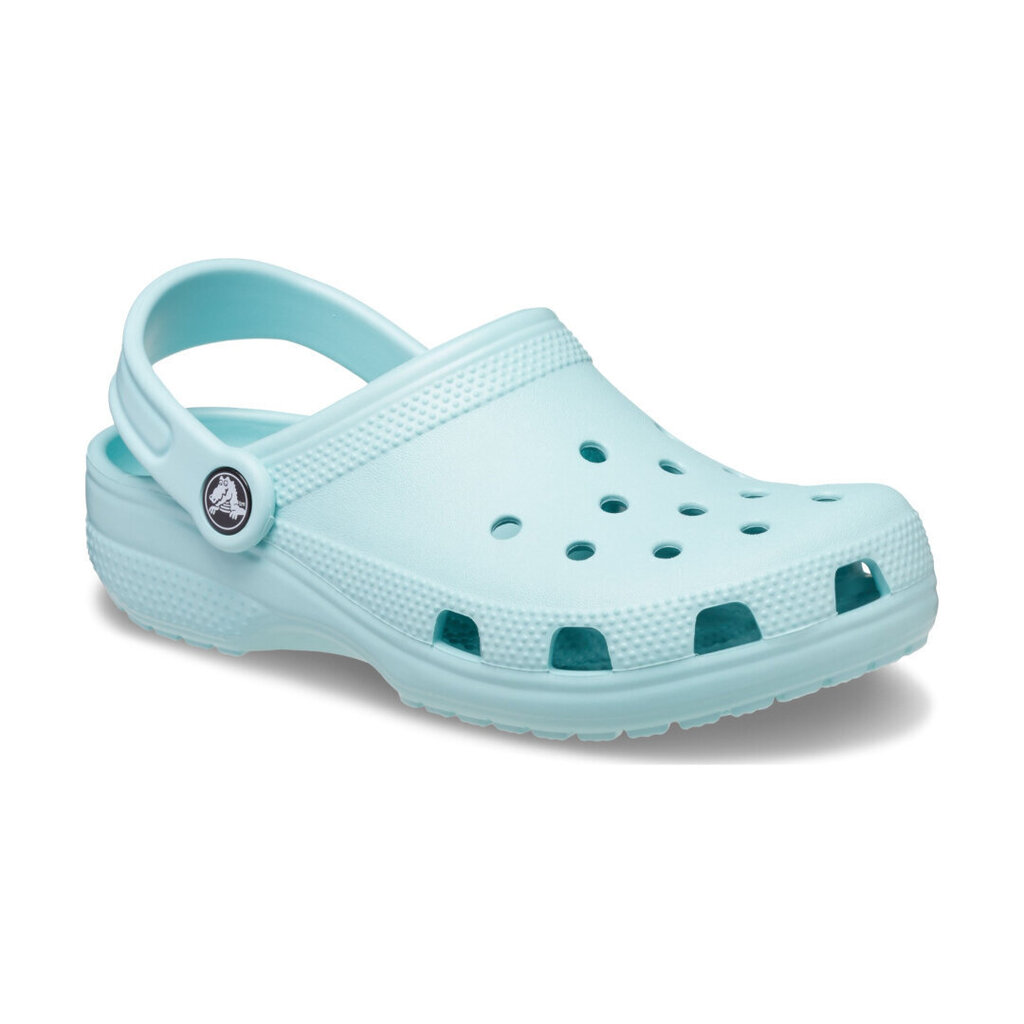 Crocs™ Classic Clog Kid's 206990 165970 hind ja info | Laste kummijalatsid | kaup24.ee