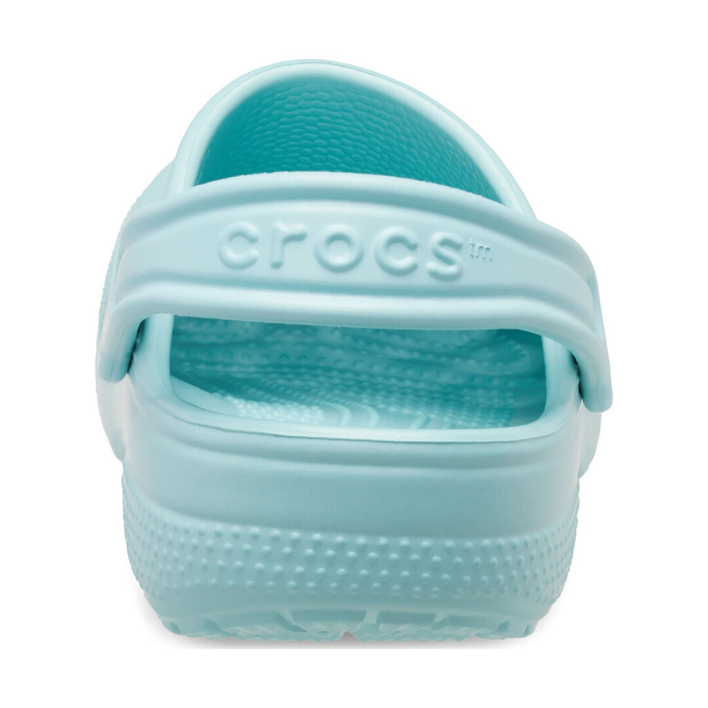 Crocs™ Classic Clog Kid's 206990 165970 цена и информация | Laste kummijalatsid | kaup24.ee