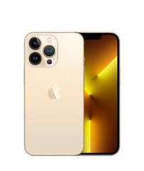 iPhone 13 Pro 1TB Gold цена и информация | Мобильные телефоны | kaup24.ee