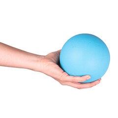 Массажный мяч Insportline Thera, 12 см, 1 шт. цена и информация | Аксессуары для массажа | kaup24.ee