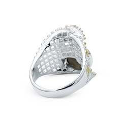 Серебряное (925) кольцо с драгоценными камнями, код F50261EU-57 цена и информация | Кольцо | kaup24.ee