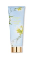 Парфюмированный лосьон для тела Victoria Secret Sunshine Haze 236 мл цена и информация | Кремы, лосьоны для тела | kaup24.ee