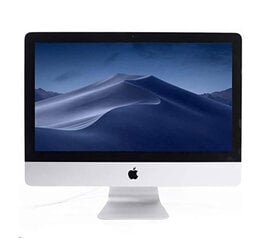 iMac 2013 21,5" - Core i5 2.7GHz / 8GB / 256GB SSD / Silver (kasutatud, seisukord A) цена и информация | Стационарные компьютеры | kaup24.ee