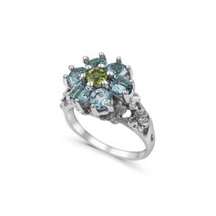 Серебряное (925) кольцо с драгоценными камнями, код F50155 цена и информация | Кольцо | kaup24.ee
