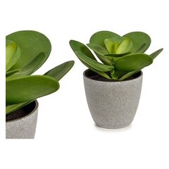 artificial plant 18,5 x 18 cm grey/green - hind ja info | Dekoratiivsed lillepotid | kaup24.ee