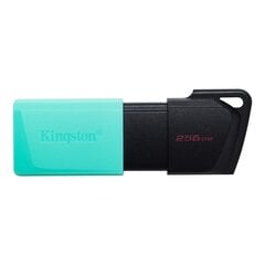 Kingston DT Exodia M 256 ГБ USB 3.0 цена и информация | Kingston Компьютерная техника | kaup24.ee