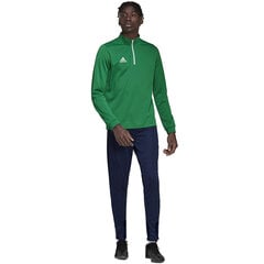 Meeste dressipluus Adidas Entrada 22 HI2129, roheline hind ja info | Jalgpalli varustus ja riided | kaup24.ee