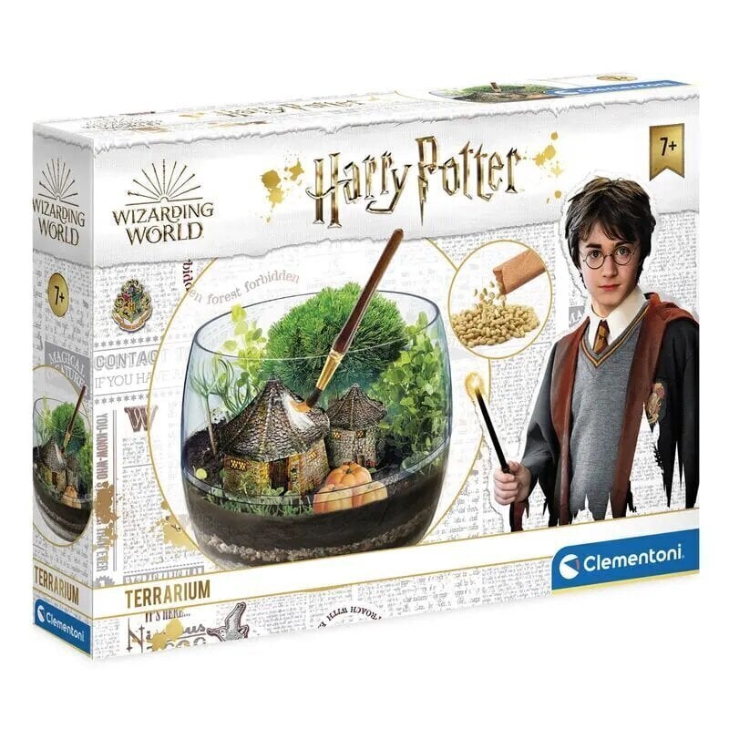 Hagridi terraariumikomplekt Clementoni Harry Potter hind ja info | Arendavad mänguasjad | kaup24.ee