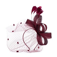 Art of Polo Fascinator | klaret hind ja info | Juuste aksessuaarid | kaup24.ee