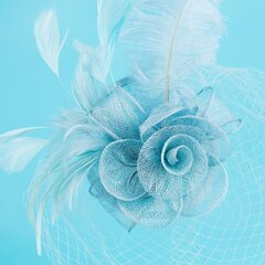 Art of Polo Fascinator | sinine hind ja info | Juuste aksessuaarid | kaup24.ee