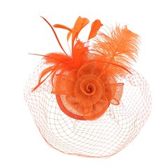 Art of Polo Fascinator | maagi hind ja info | Juuste aksessuaarid | kaup24.ee