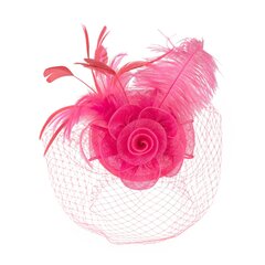 Art of Polo Fascinator | roosa hind ja info | Juuste aksessuaarid | kaup24.ee