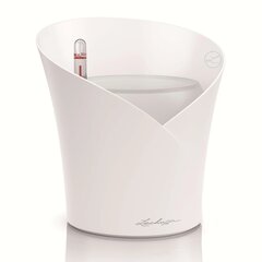 425623 LECHUZA Planter "ORCHIDEA ALL-IN-ONE" Matt White hind ja info | Istutus- ja turbapotid | kaup24.ee