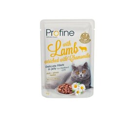 Profine Cat Pouch Lamb in Jelly märgtoit steriliseeritud kassidele 85g hind ja info | Konservid kassidele | kaup24.ee