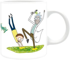 ABYstyle Rick And Morty Portal 2 hind ja info | Fännitooted mänguritele | kaup24.ee