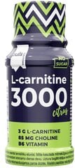 Puls Nutrition L-karnitiin 3000 60 ml hind ja info | L-karnitiin | kaup24.ee