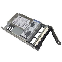 Dell 400-ATJM цена и информация | Внутренние жёсткие диски (HDD, SSD, Hybrid) | kaup24.ee