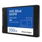 SSD|WESTERN DIGITAL|Blue SA510|250GB|SATA 3.0|Kirjutuskiirus 440 MBait/s|Lugemiskiirus 555 MBait/s|2,5"|TBW 100 TB|MTBF 1750000 tundi|WDS250G3B0A hind ja info | Sisemised kõvakettad (HDD, SSD, Hybrid) | kaup24.ee