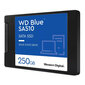 SSD|WESTERN DIGITAL|Blue SA510|250GB|SATA 3.0|Kirjutuskiirus 440 MBait/s|Lugemiskiirus 555 MBait/s|2,5"|TBW 100 TB|MTBF 1750000 tundi|WDS250G3B0A цена и информация | Sisemised kõvakettad (HDD, SSD, Hybrid) | kaup24.ee