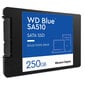 SSD|WESTERN DIGITAL|Blue SA510|250GB|SATA 3.0|Kirjutuskiirus 440 MBait/s|Lugemiskiirus 555 MBait/s|2,5"|TBW 100 TB|MTBF 1750000 tundi|WDS250G3B0A hind ja info | Sisemised kõvakettad (HDD, SSD, Hybrid) | kaup24.ee