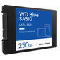 SSD|WESTERN DIGITAL|Blue SA510|250GB|SATA 3.0|Kirjutuskiirus 440 MBait/s|Lugemiskiirus 555 MBait/s|2,5"|TBW 100 TB|MTBF 1750000 tundi|WDS250G3B0A hind ja info | Sisemised kõvakettad (HDD, SSD, Hybrid) | kaup24.ee