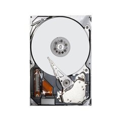 Жесткий диск Dell 400-ASIF цена и информация | Внутренние жёсткие диски (HDD, SSD, Hybrid) | kaup24.ee