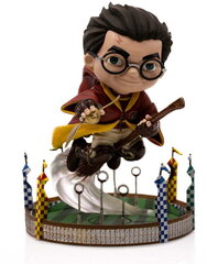 Iron Studios & Minico Harry Potter - At the Quiddich Match Figure цена и информация | Атрибутика для игроков | kaup24.ee