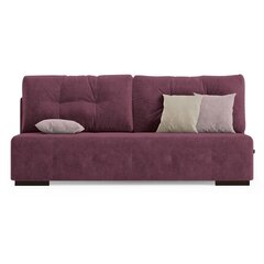 Трехместный диван Homede Farina, красный цвет цена и информация | Диваны | kaup24.ee