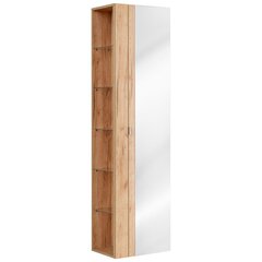Vannitoakapp Hakano Barios, 45x170 cm, pruun цена и информация | Шкафчики для ванной | kaup24.ee