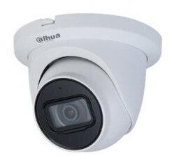 NET CAMERA 5MP IR EYEBALL/IPC-HDW2531TM-AS0280B-S2 DAHUA hind ja info | Valvekaamerad | kaup24.ee